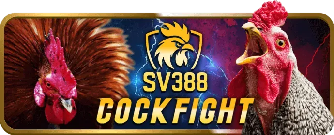 Dịch vụ hỗ trợ khách hàng 24/7 của VT999 Game